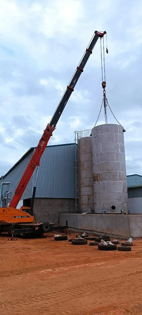 Shanga crane